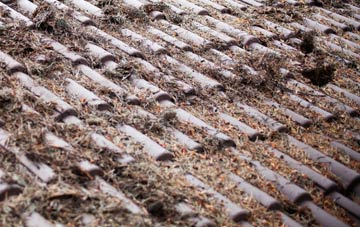 Bryn Golau roof cleaning companies