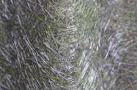 Bryn Golau fibreglass roof work